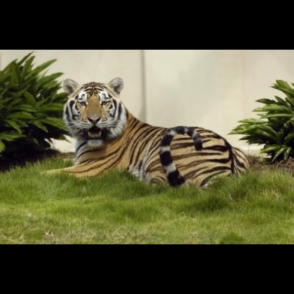 Meet your Posher, Katherine - Picture 3 of 8